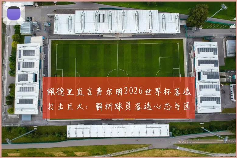 佩德里直言费尔明2026世界杯落选打击巨大，解析球员落选心态与团队影响
